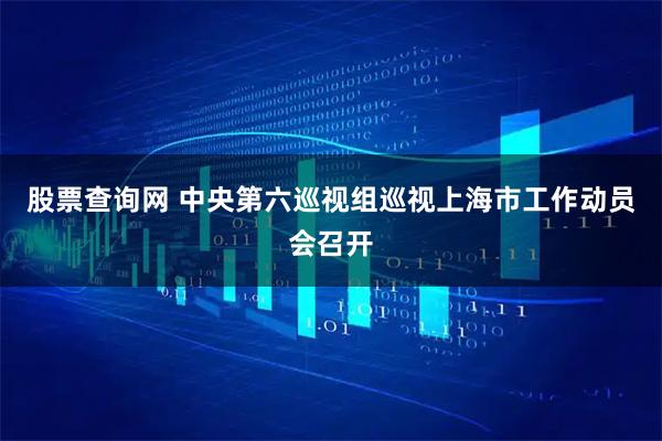 股票查询网 中央第六巡视组巡视上海市工作动员会召开