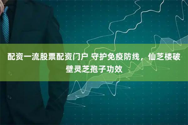 配资一流股票配资门户 守护免疫防线,仙芝楼破壁灵芝孢子功效