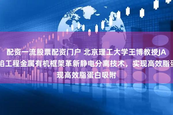 配资一流股票配资门户 北京理工大学王博教授JACS:缺陷工程金属有机框架革新静电分离技术,实现高效脂蛋白吸附