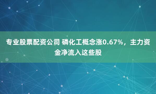 专业股票配资公司 磷化工概念涨0.67%，主力资金净流入这些股